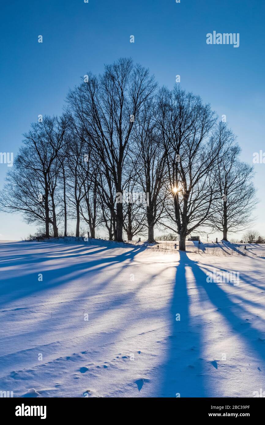 Des ombres longues et tardives traversent un vieux cimetière rural avec de beaux érables et un champ de ferme Amish dans le centre du Michigan, aux États-Unis Banque D'Images