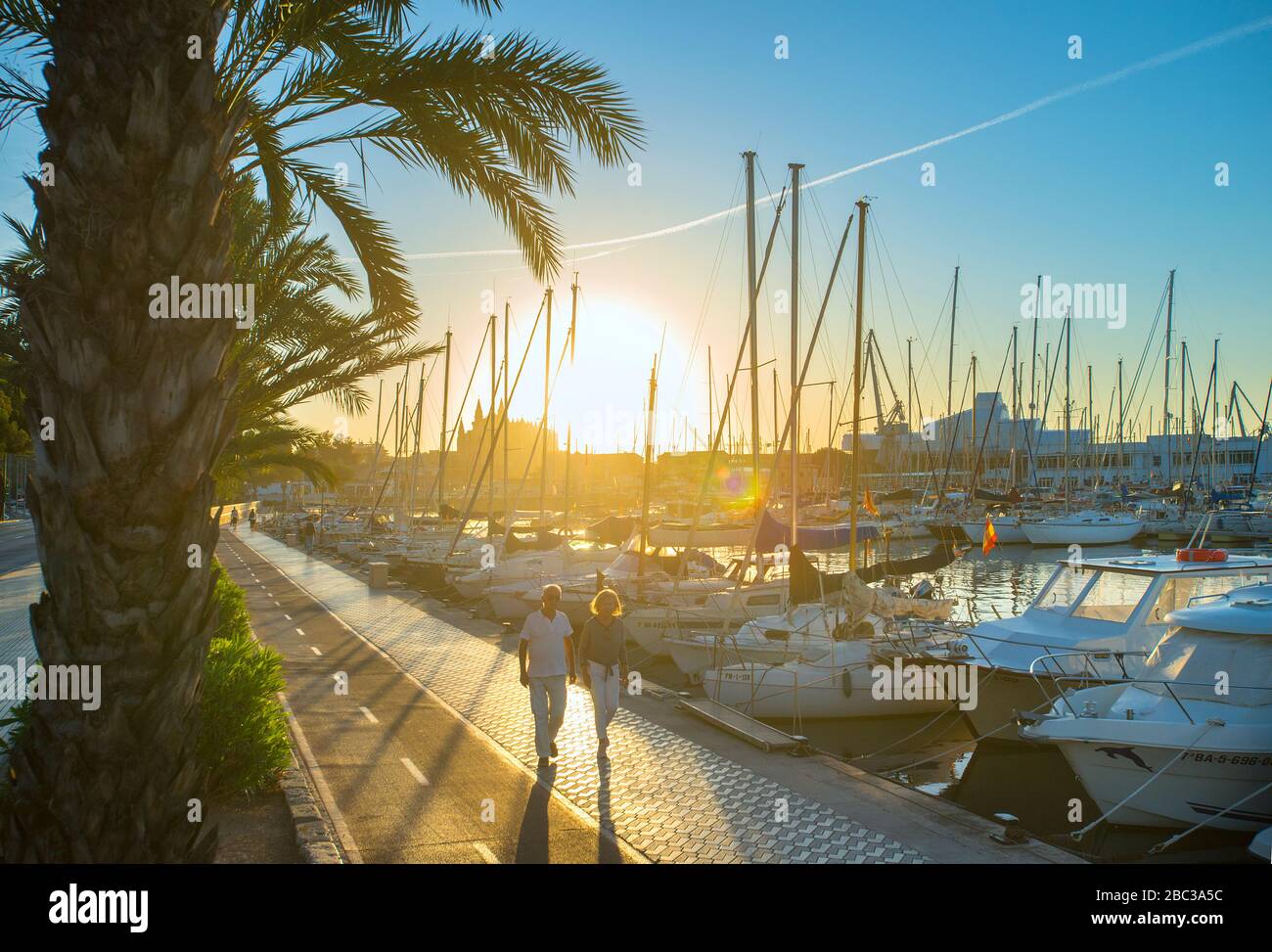 Couple marchant au Sunrise Paseo Maritimo avec port et cathédrale, Palma de Majorque, Baléares, Espagne Banque D'Images