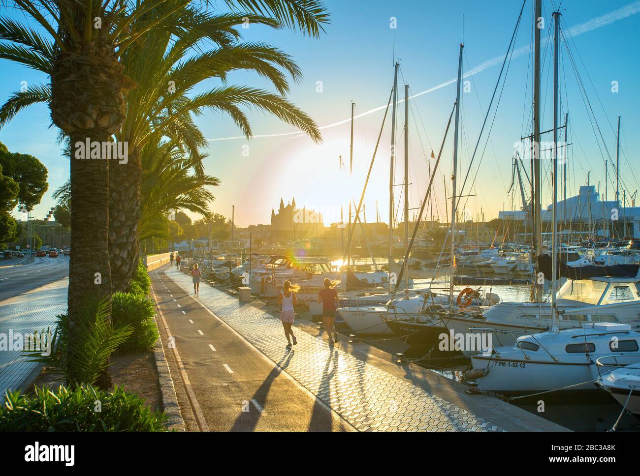 Joggers le long de la piste cyclable de Sunrise Paseo Maritimo avec port et cathédrale, Palma de Majorque, Baléares, Espagne Banque D'Images