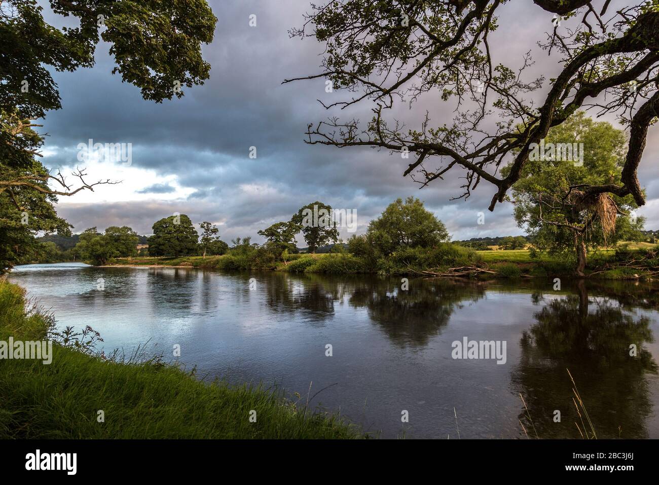 River Eden, Lazonby, Cumbria, Royaume-Uni Banque D'Images