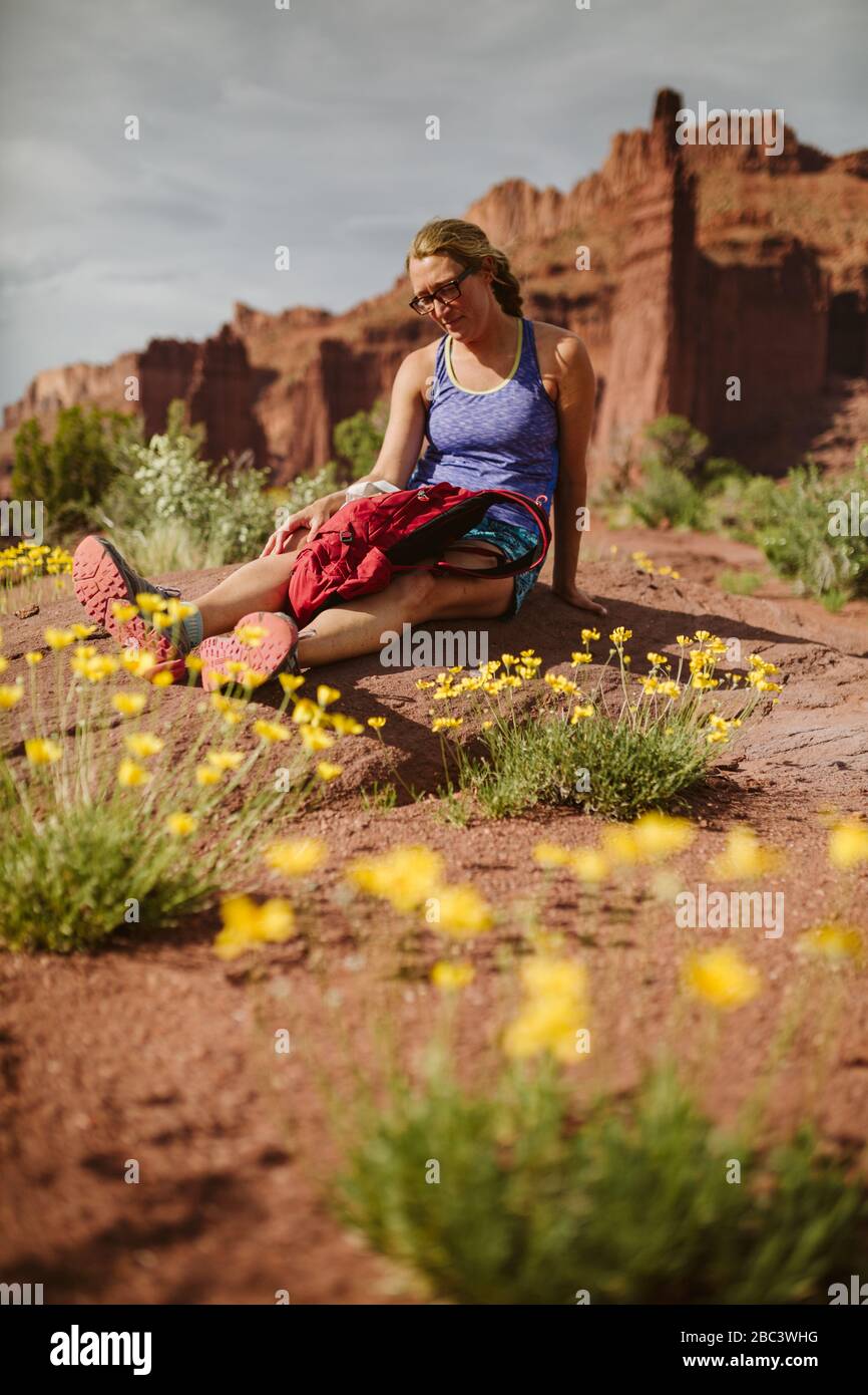 un randonneur paisible pond la vie au milieu d'une fleur jaune du désert sous le rocher rouge Banque D'Images