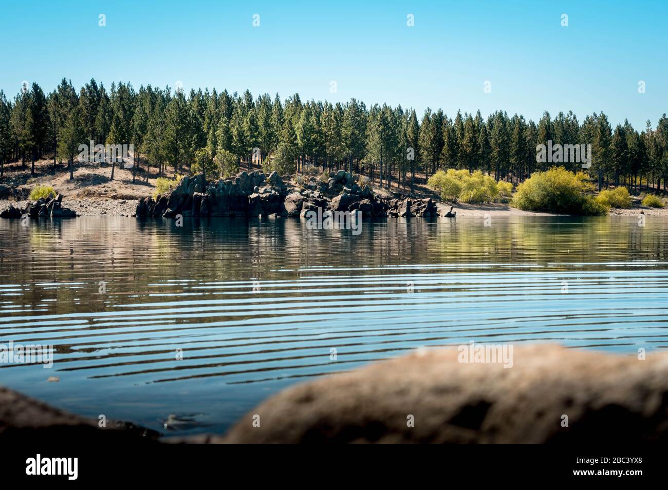 Lac, pins et montagnes dans la province de Neuquén, Argentine. Banque D'Images