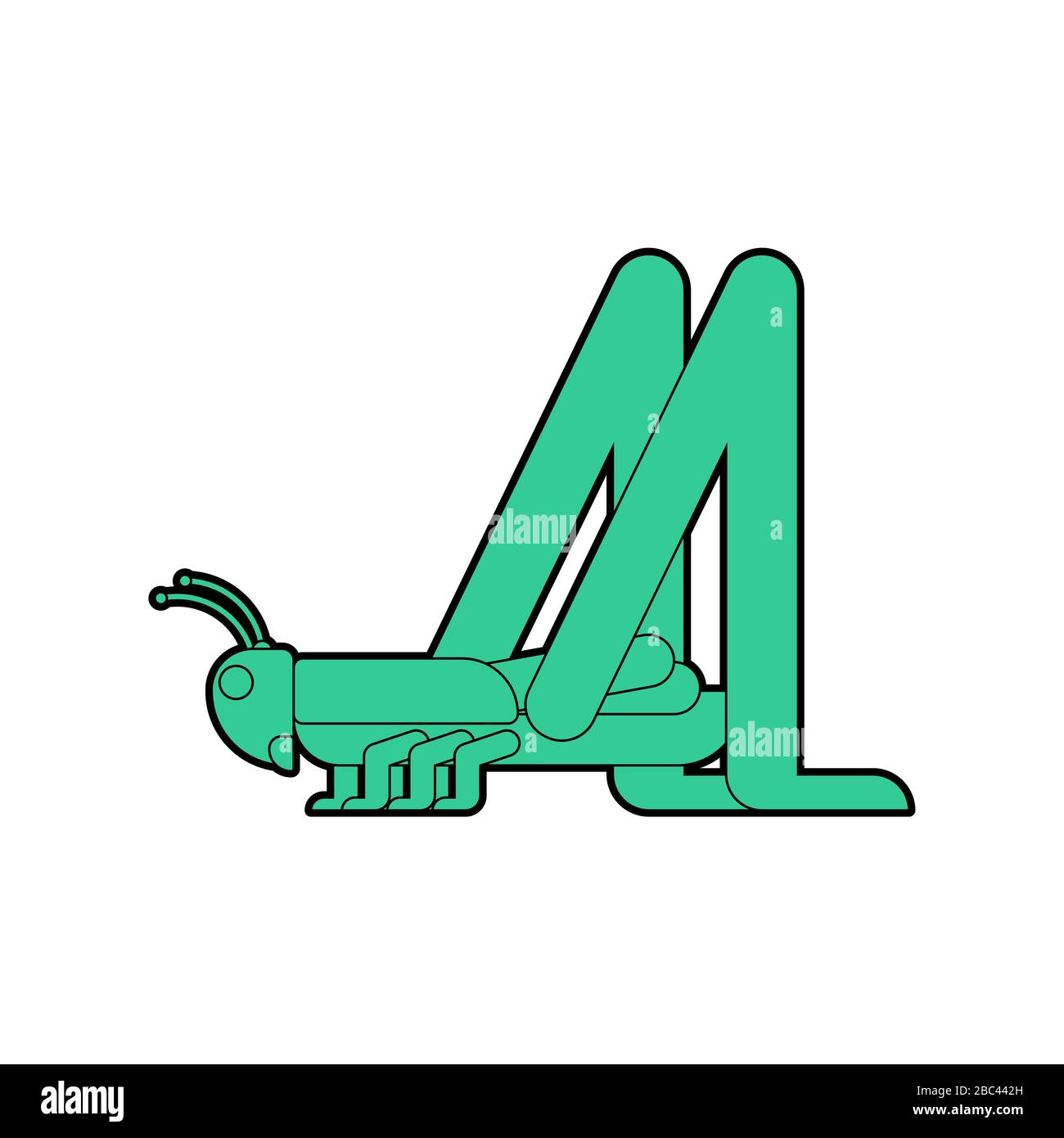 Sauterelle isolée. Illustration du vecteur d'insecte de criquet vert Illustration de Vecteur