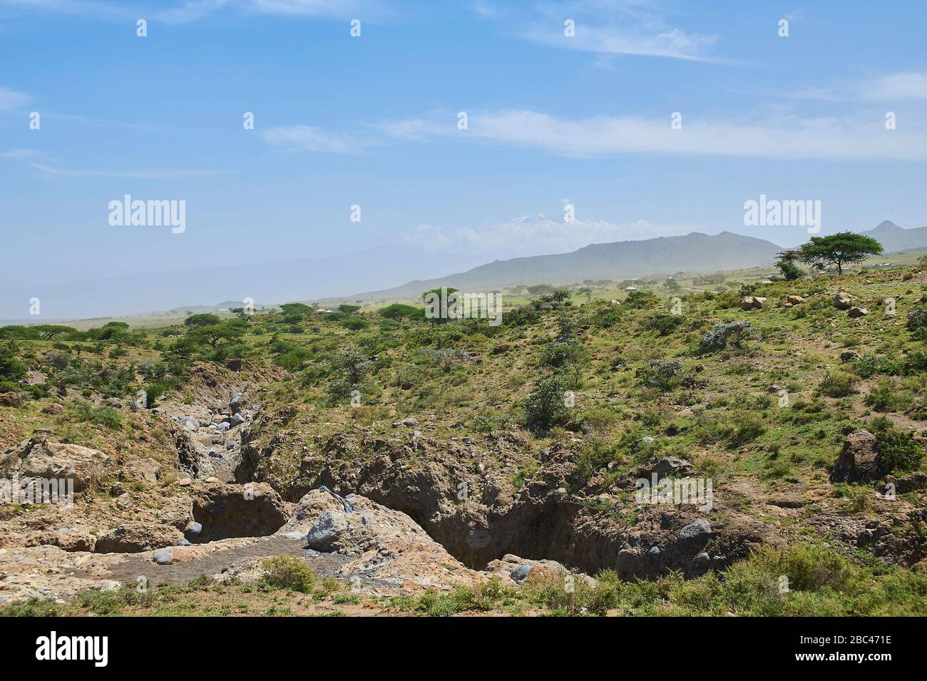 Les plaines de Losinoni avec le Mont Kilimandjaro en arrière-plan Banque D'Images