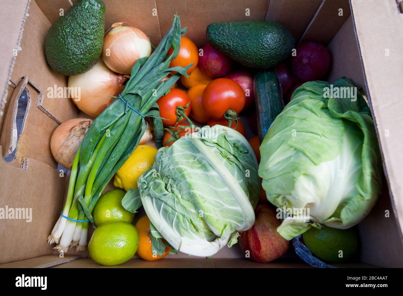 Une boîte de légumes et de fruits vendus par des grossistes de produits composés d'avocats, d'oignons, de tomates, de choux, d'oignons de printemps, de citrons, de limes, de concombre, Banque D'Images