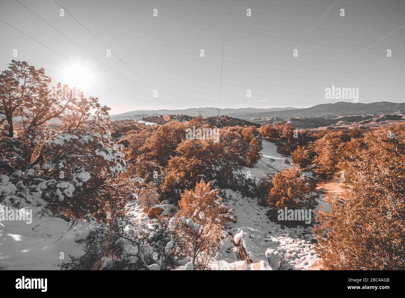 un rayon de soleil passe à travers les feuilles et les branches du chêne, pendant une journée avec ciel clair et ciel bleu. Hiver à Cananea, Sonora, Mexique. Neige sur les montagnes de la Mariquita et de la Sierra Elenita. 2020. (Photo par: GerardoLopez / NortePhoto.com)... un rayo de luz de sol atraviesa las hojas y ramas de arbol encino, durante un dia con cielo despejado y cielo azul. Invierno en Cananea, Sonora, Mexique. Nieve en la siera la Mariquita y sierra Elenita . 2020. (Photo de: GerardoLopez/NortePhoto.com ) Banque D'Images