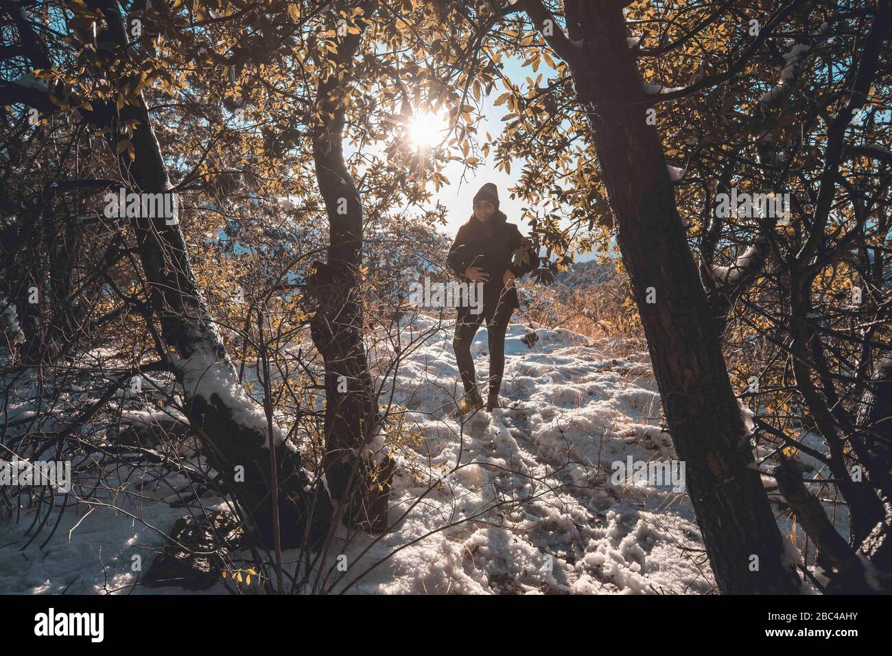 un rayon de soleil passe à travers les feuilles et les branches du chêne, pendant une journée avec ciel clair et ciel bleu. Hiver à Cananea, Sonora, Mexique. Neige sur les montagnes de la Mariquita et de la Sierra Elenita. 2020. (Photo par: GerardoLopez / NortePhoto.com)... un rayo de luz de sol atraviesa las hojas y ramas de arbol encino, durante un dia con cielo despejado y cielo azul. Invierno en Cananea, Sonora, Mexique. Nieve en la siera la Mariquita y sierra Elenita . 2020. (Photo de: GerardoLopez/NortePhoto.com ) Banque D'Images