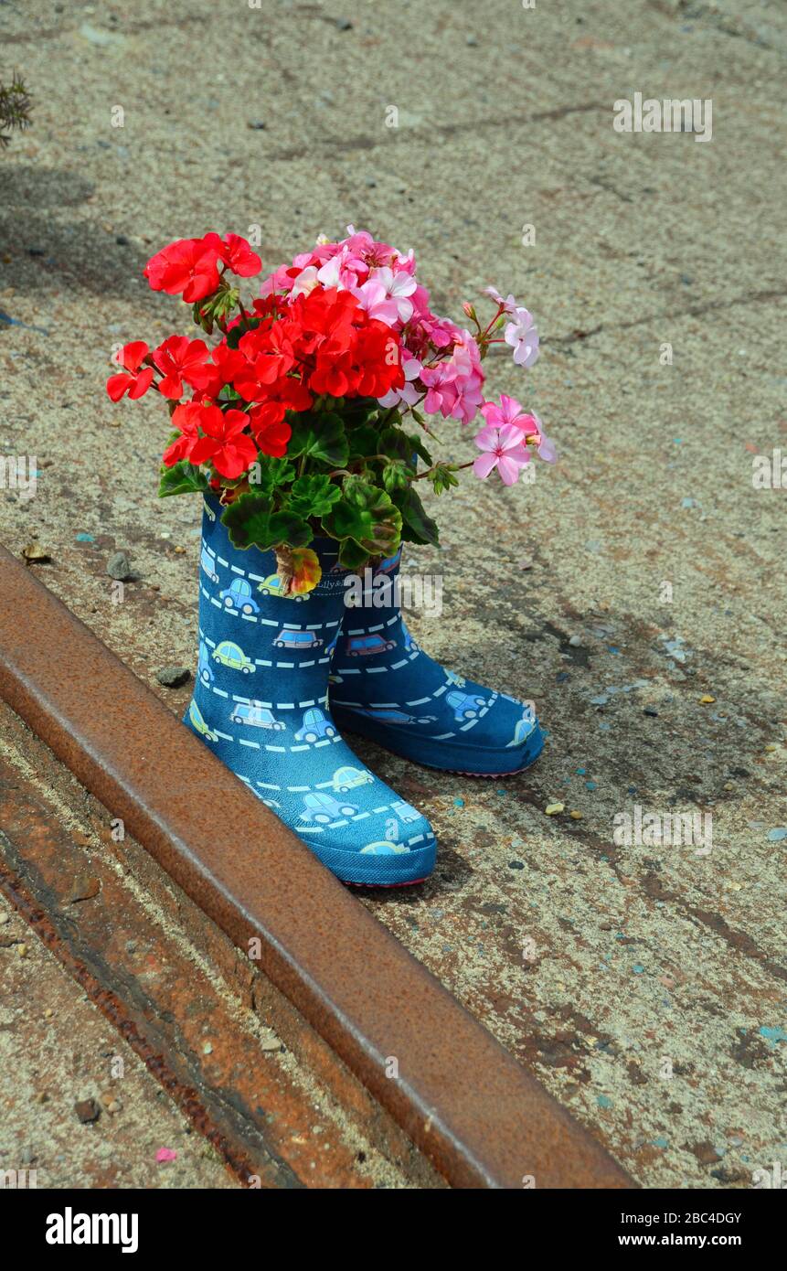 Variété de couleurs de planteuses à bottes en caoutchouc avec des types de fleurs en éventail Banque D'Images