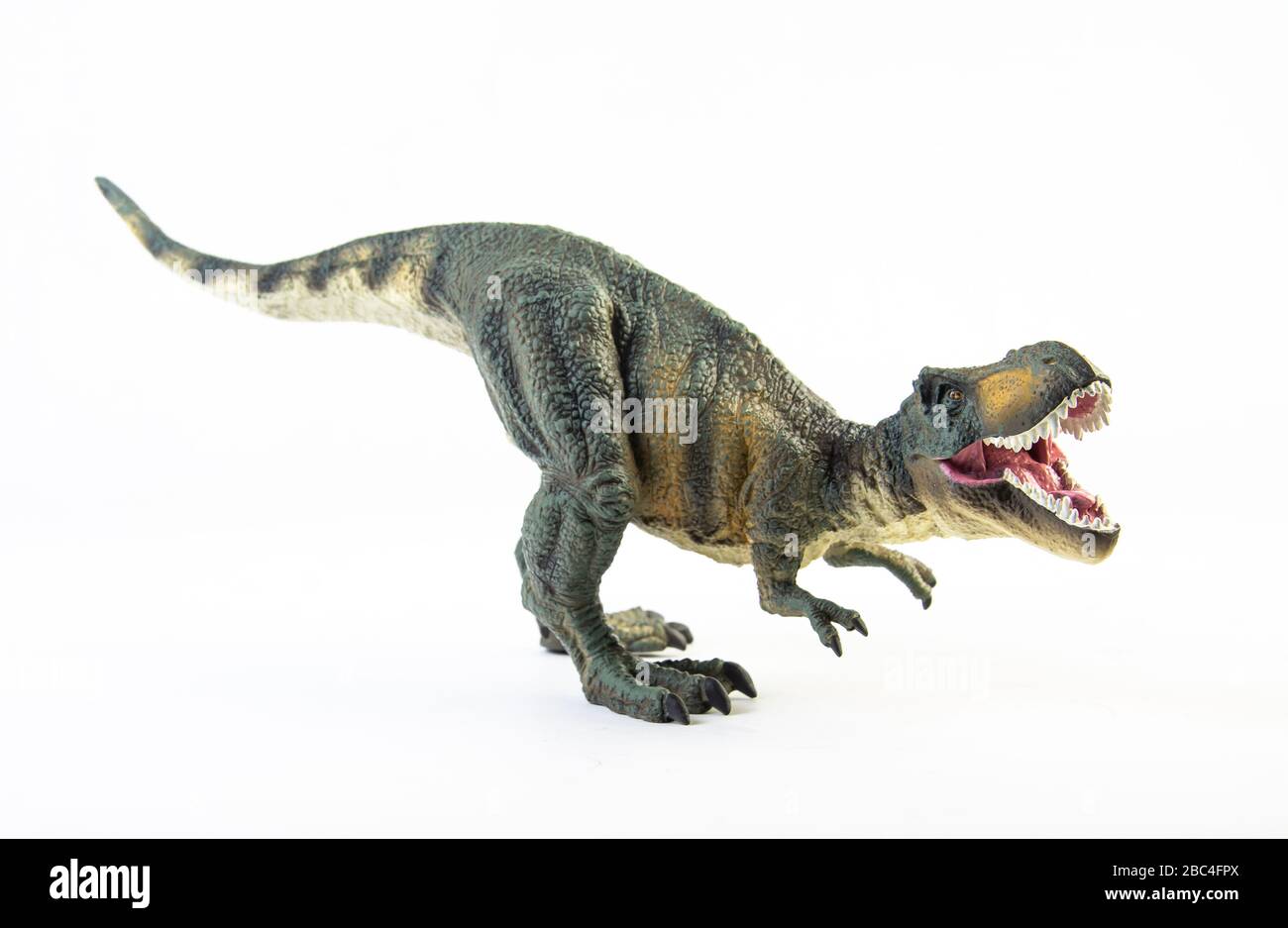 Tyrannosaurus rex T-rex dinosaure ,sur fond blanc Photo Stock - Alamy