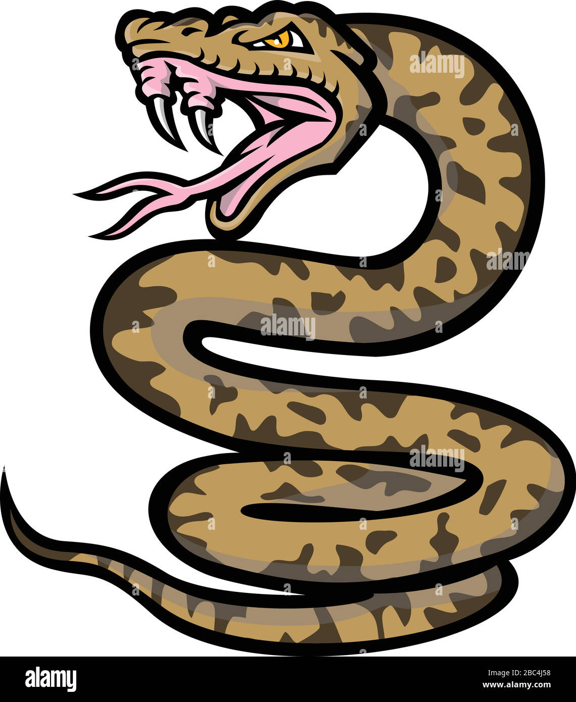 Icône mascotte illustration d'un serpent agressif de habu, d'Okinawa habu ou de Kume Shima habu, une espèce de vipère venimeux endémique au Japon, barant ainsi son f Illustration de Vecteur