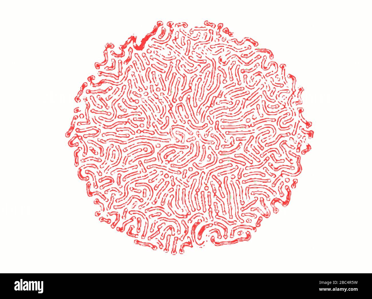 image microscopique des bactérias rouges Illustration de Vecteur