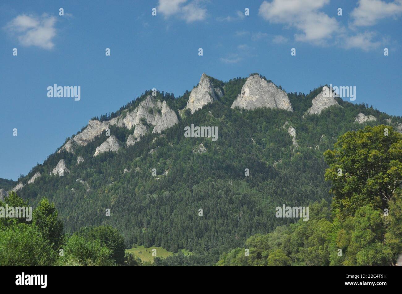 Hauts de montagne Bald, trois couronnes dans le parc national de Pieniny en Pologne. Vue depuis la rivière Dunajec pendant le rafting avec radeaux. Banque D'Images