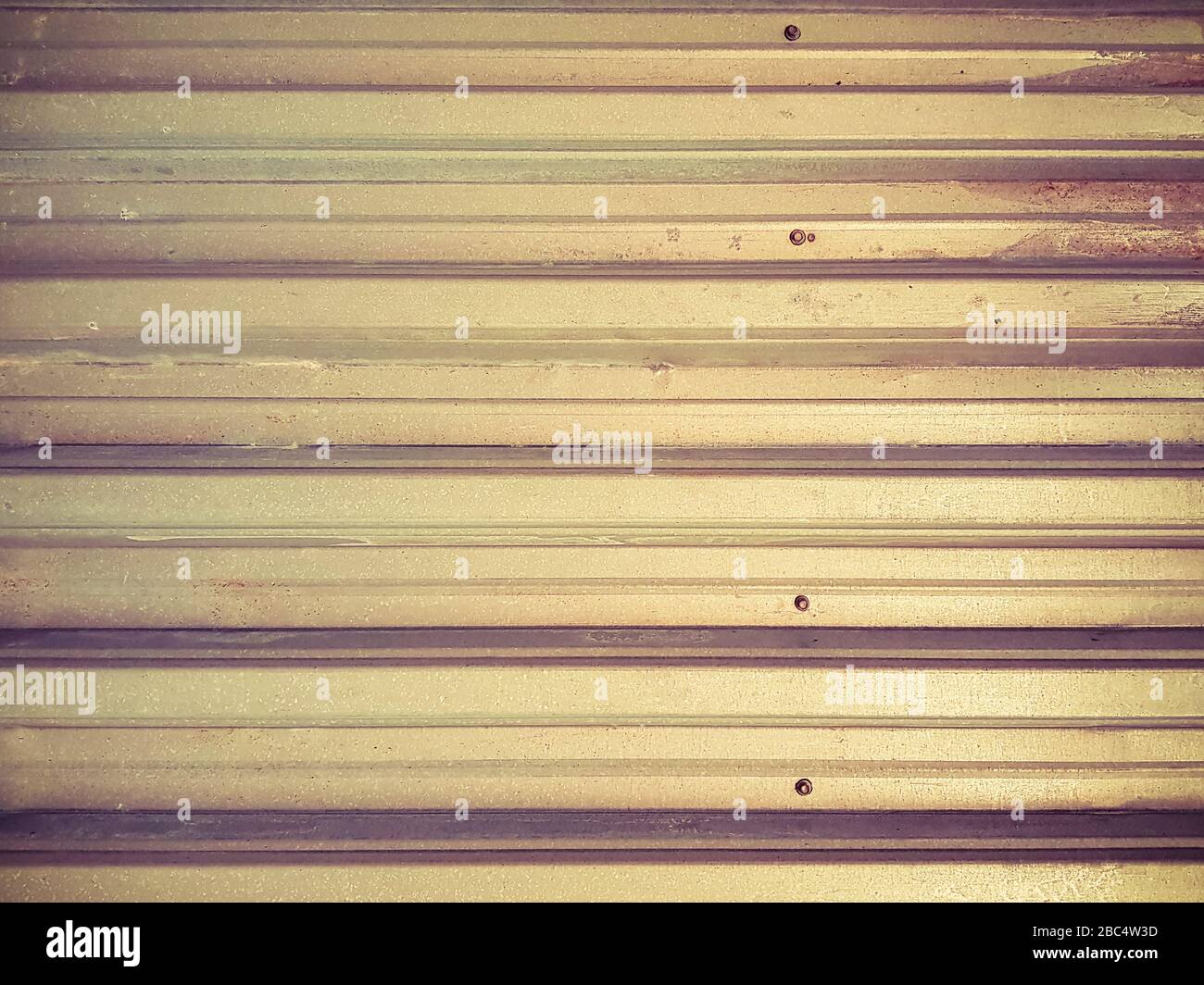 Clôture profilée en zinc argent avec texture et vis Banque D'Images