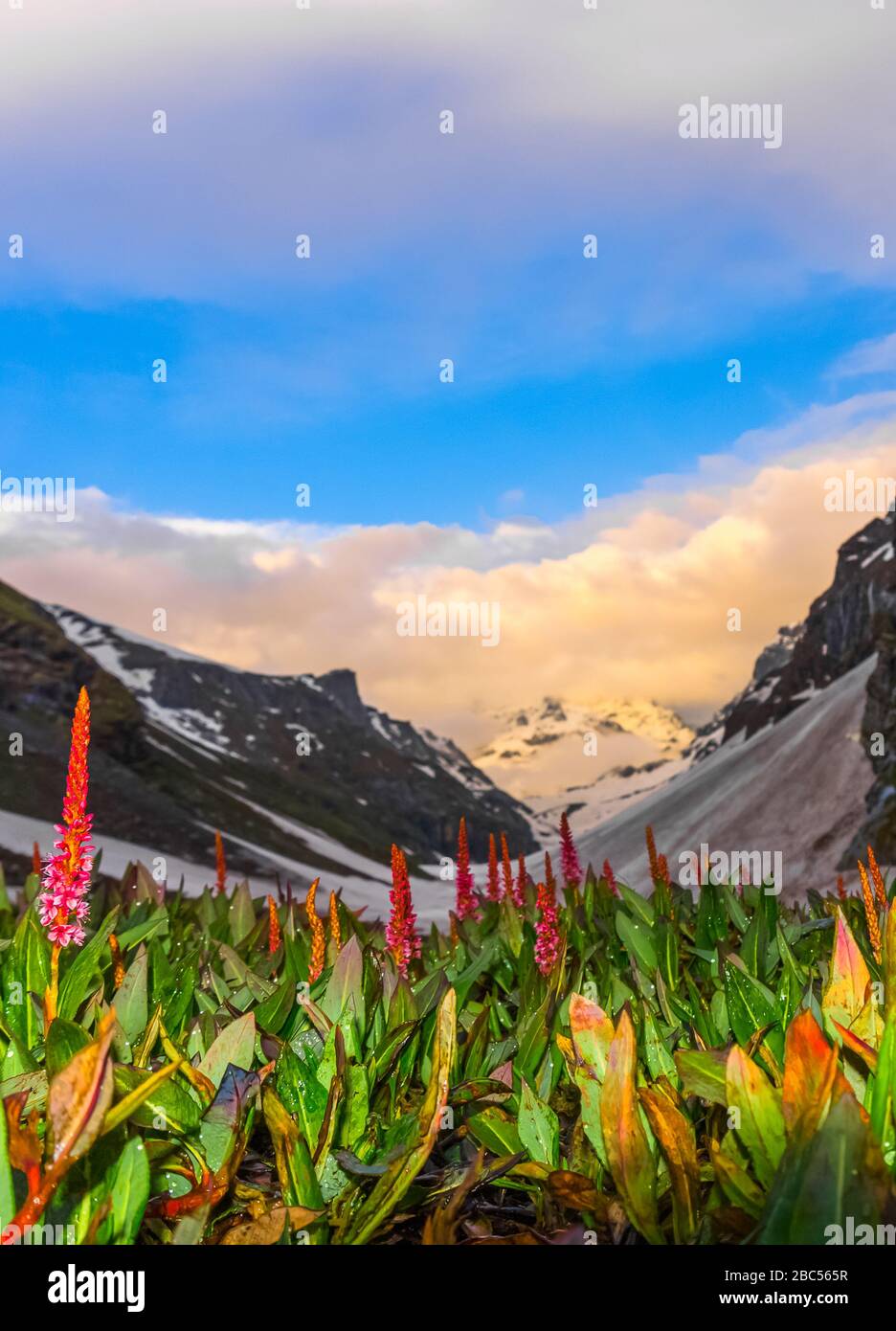 La randonnée incroyable à hampta passe himalaya himalaya himachal pradesh Banque D'Images