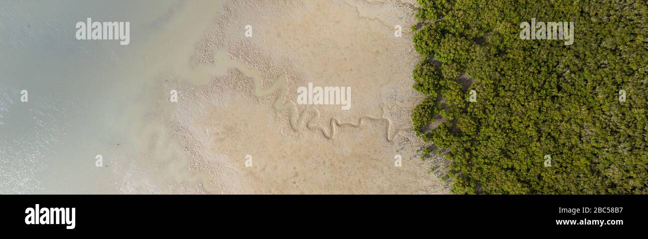 Vue de dessus d'une rive dans la région de Matakohe à marée basse, Nouvelle-Zélande. Une partie du modèle de sable montre trhrugueux l'eau claire, à l'autre côté des forêts Banque D'Images