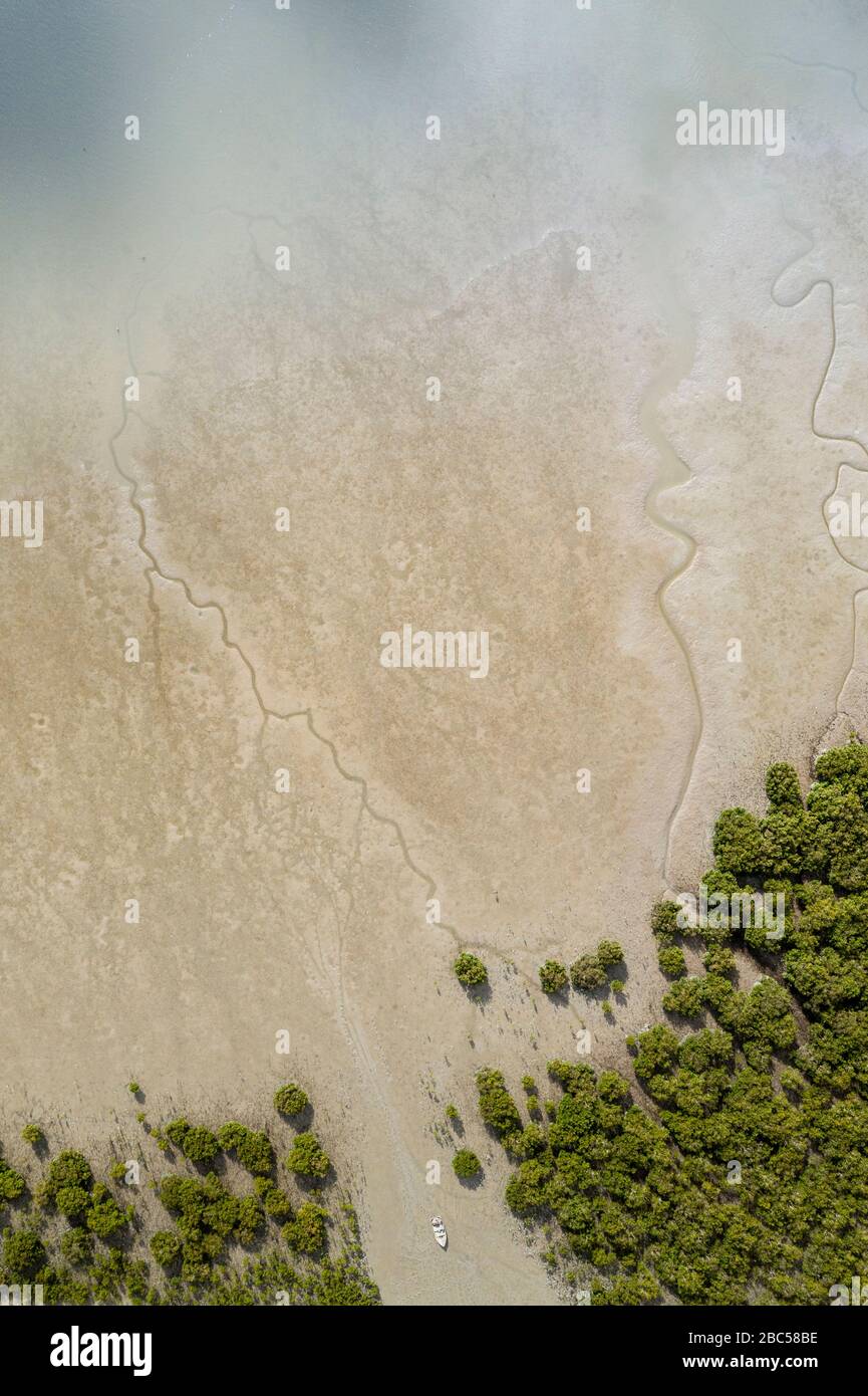 Vue de dessus d'un bateau posé sur la rive dans la région de Matakohe, en Nouvelle-Zélande. Le bateau repose sur le sable à marée basse entre les forêts d'arbres verts. crac profond Banque D'Images