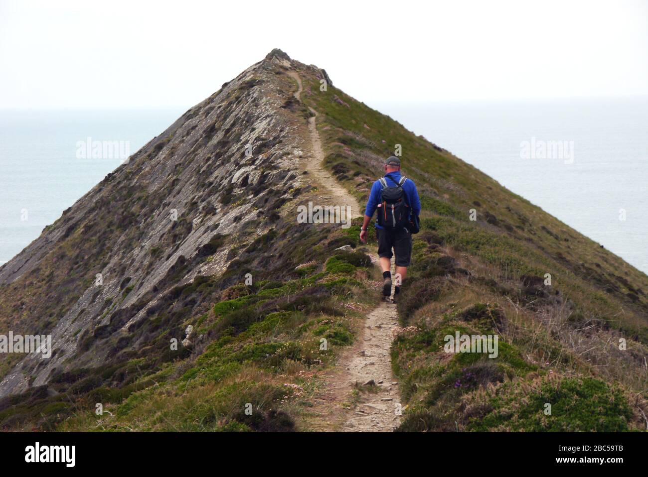 Lone Man Hiker en marchant sur le sentier menant à Sharpnose point supérieur sur le sentier côtier du sud-ouest, North Cornwall, Angleterre, Royaume-Uni Banque D'Images