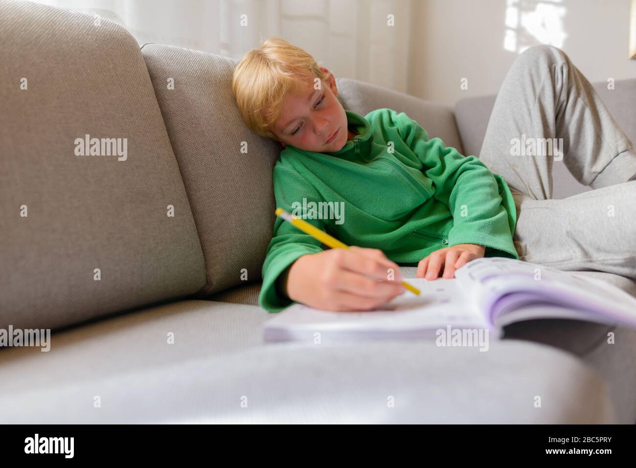 Jeune beau garçon étudiant sur le canapé à la maison Banque D'Images