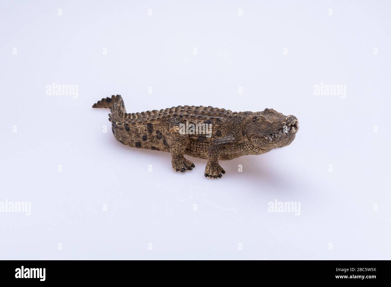 jouet crocodile isolé devant un fond blanc Banque D'Images