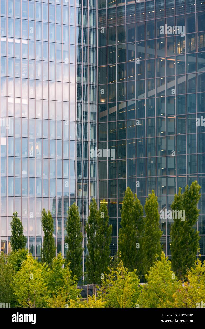Les arbres se reflètent dans la façade en verre de la Banque centrale européenne, Francfort, Allemagne Banque D'Images