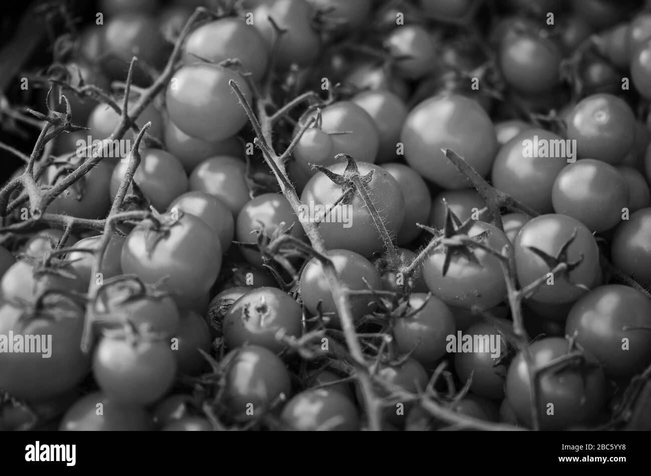 tomates fraîches vue rapprochée sur le marché italien local Banque D'Images