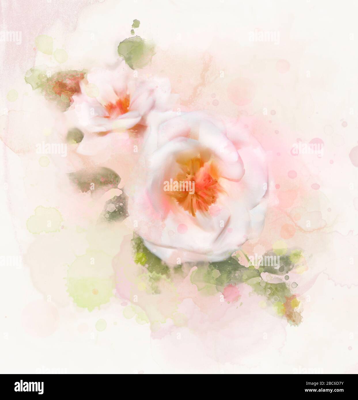 Collection de fleurs de printemps et d'été - belles roses roses dans le style aquarelle numérique Banque D'Images