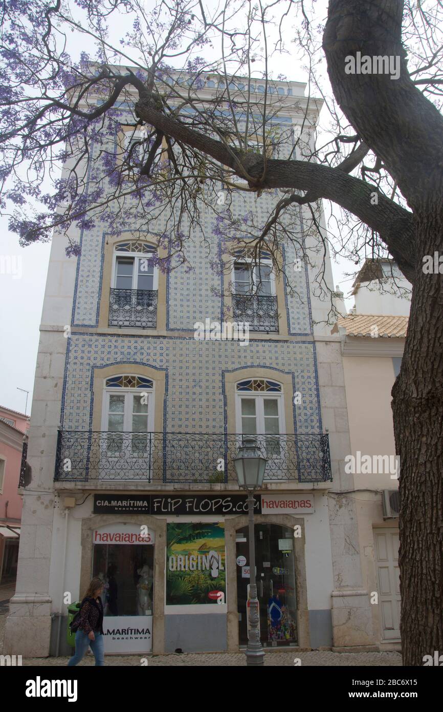 jacaranda arbres dans la vieille ville de lagos, portugal Banque D'Images