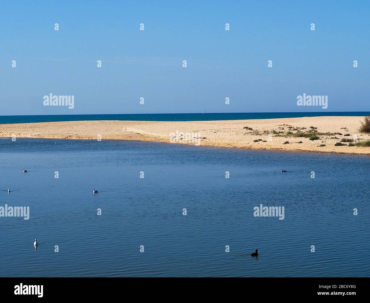 Lagoa dos Salgados, un biotope entre Armacaou de Pera et Albufeira sur la côte de l'Algarve au Portugal Banque D'Images