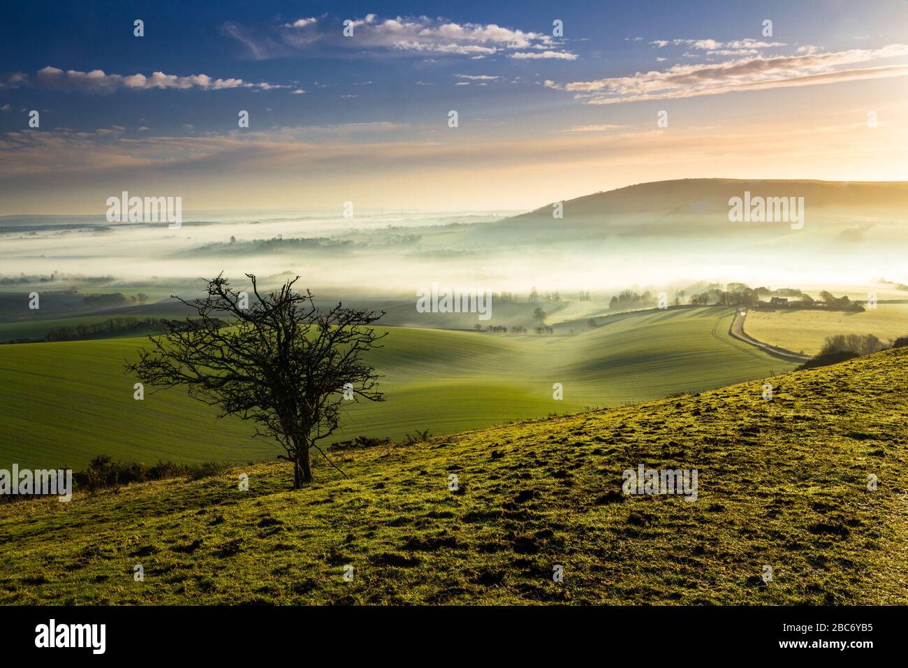 Lever de soleil matinal Misty au-dessus de sussex weald et sud bas sud-est de l'Angleterre Banque D'Images