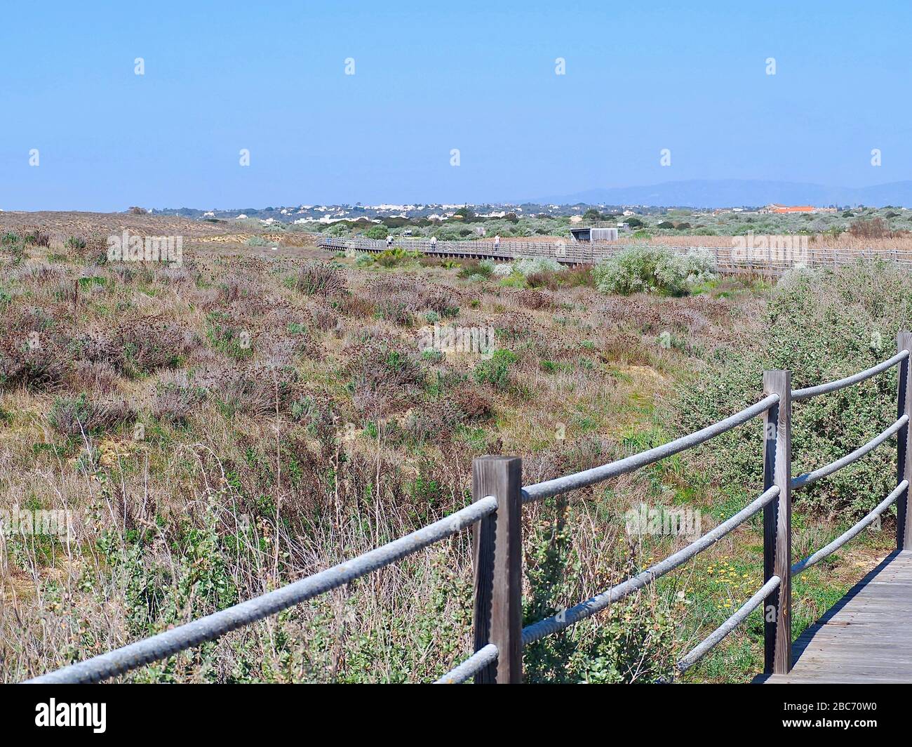 Lagoa dos Salgados, un biotope entre Armacaou de Pera et Albufeira sur la côte de l'Algarve au Portugal Banque D'Images