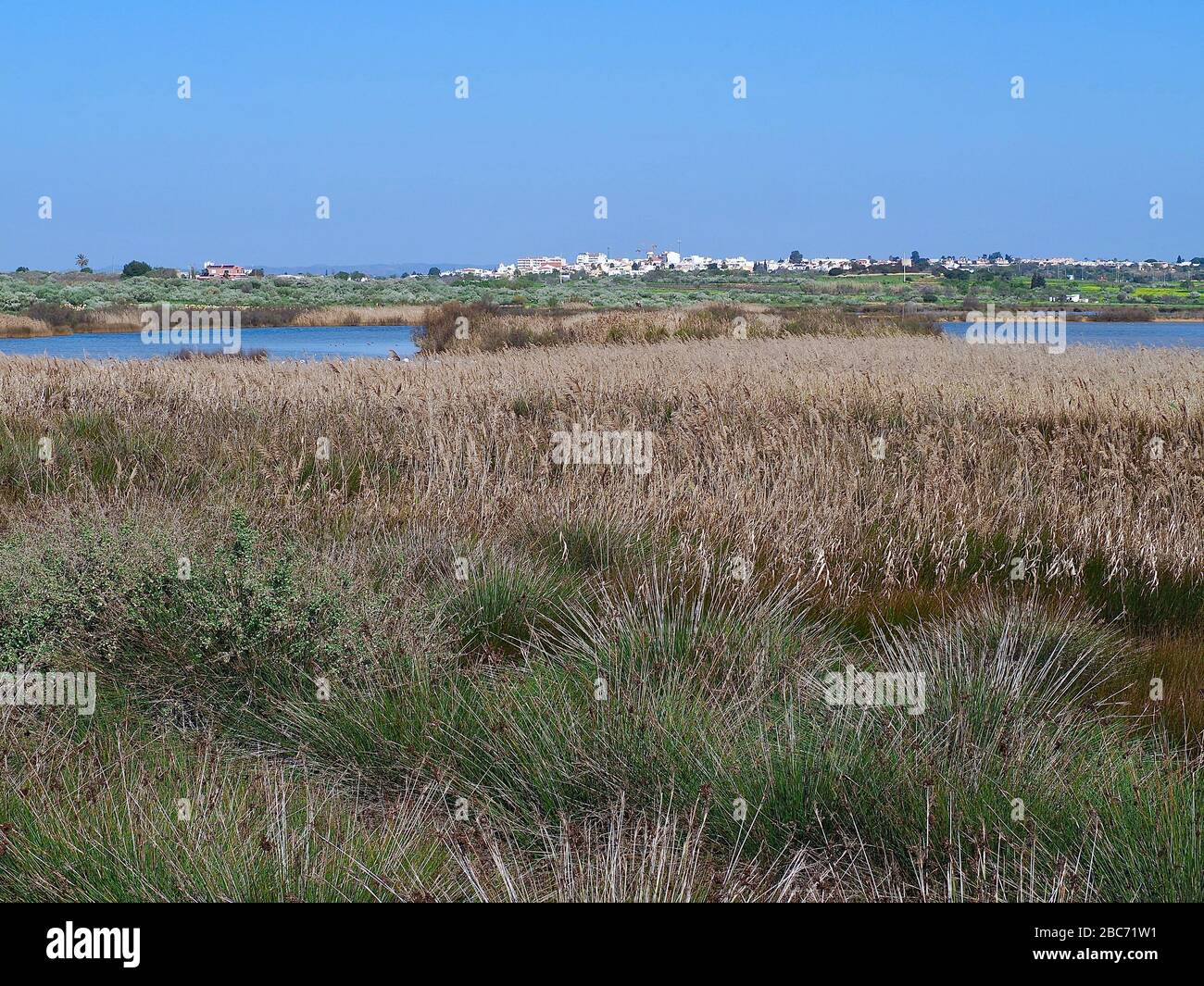 Lagoa dos Salgados, un biotope entre Armacaou de Pera et Albufeira sur la côte de l'Algarve au Portugal Banque D'Images