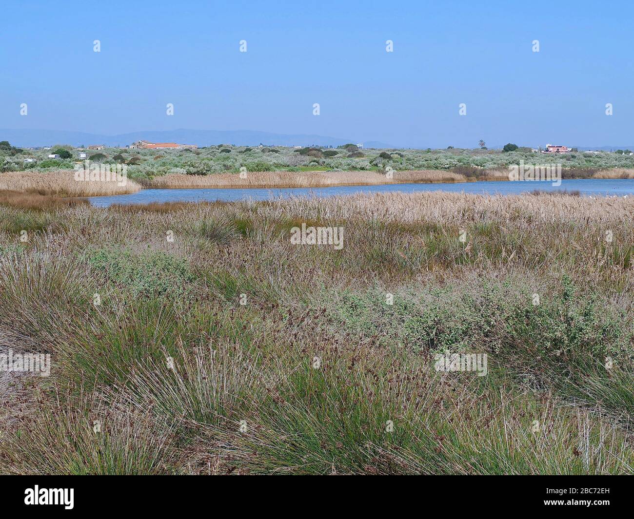 Lagoa dos Salgados, un biotope entre Armacaou de Pera et Albufeira sur la côte de l'Algarve au Portugal Banque D'Images