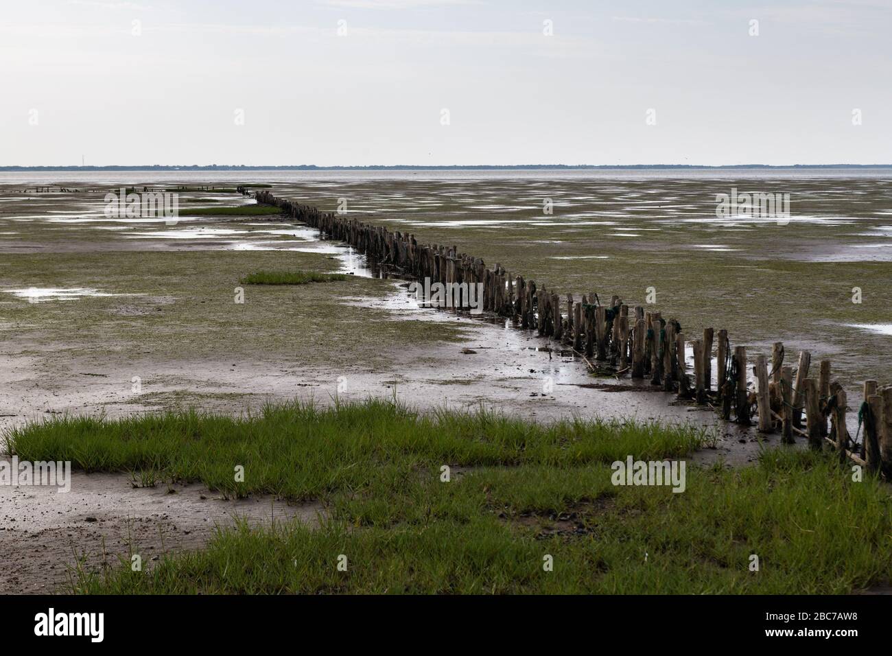 Une rangée de barards en bois se dresse dans la mer des Wadden à marée basse. Banque D'Images