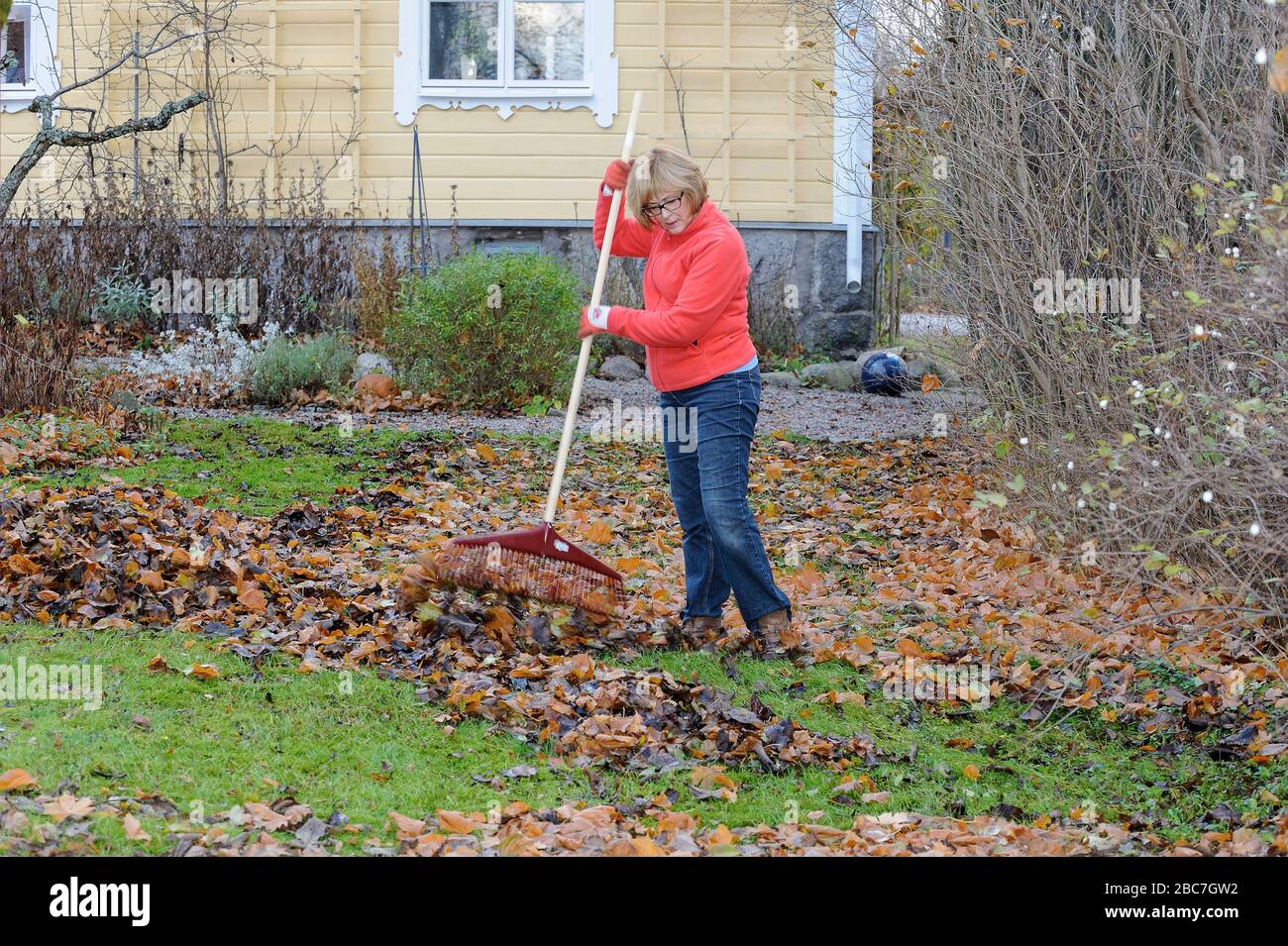 Une femme qui raque des feuilles dans un jardin, Vingåker, Suède, Södermanland, Suède Banque D'Images