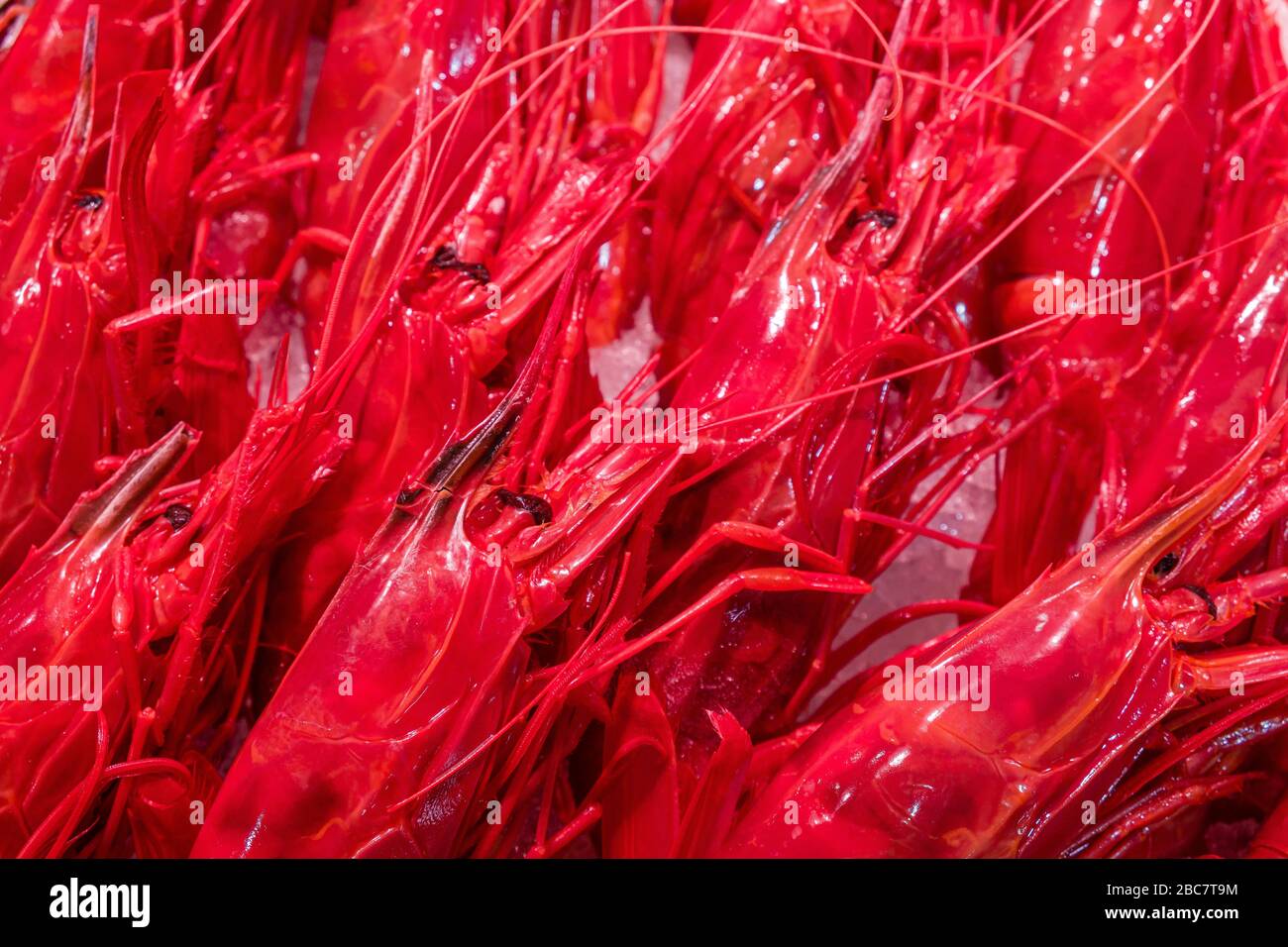 Les crevettes rouges sont en vente sur la glace sur le marché local Banque D'Images