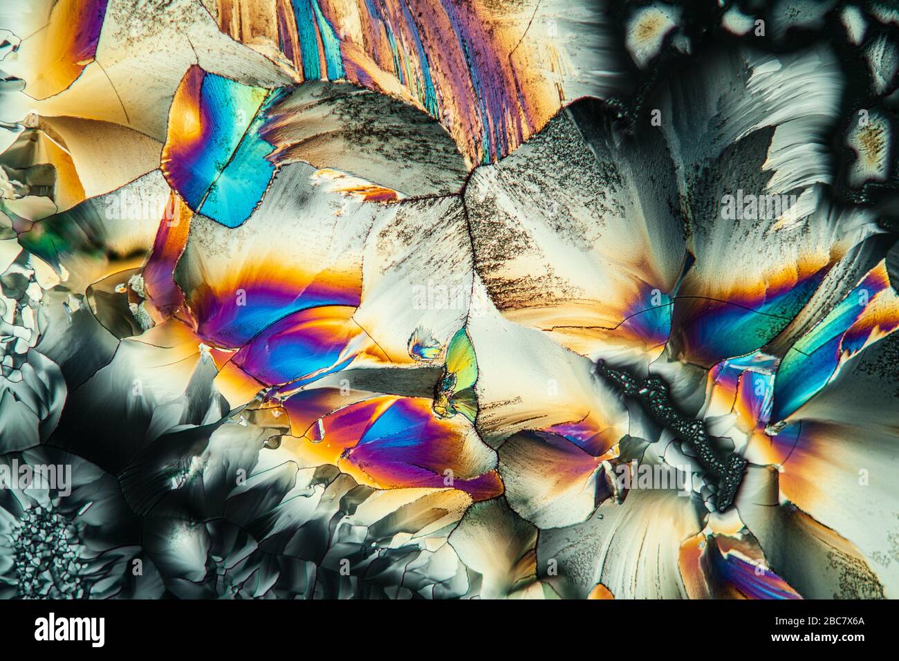 cristaux de glutamate dans la lumière polarisée sous le microskope 100 fois Banque D'Images