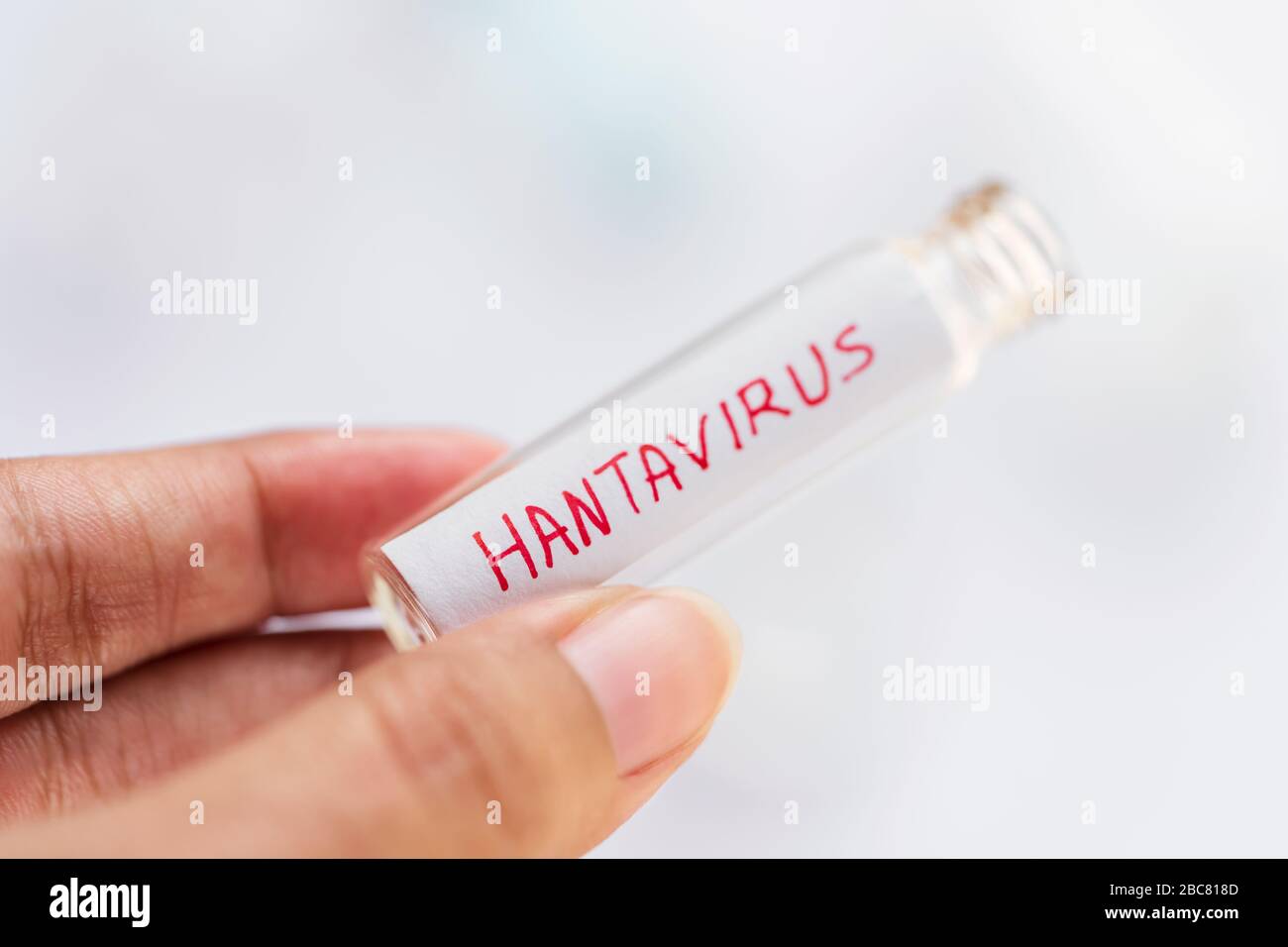 Arrière-plan hantavirus avec espace de copie. Personne qui tient un tube à essai vierge ou une vile en verre pour tester l'échantillon sanguin des patients touchés par le virus hanta. Concept Banque D'Images