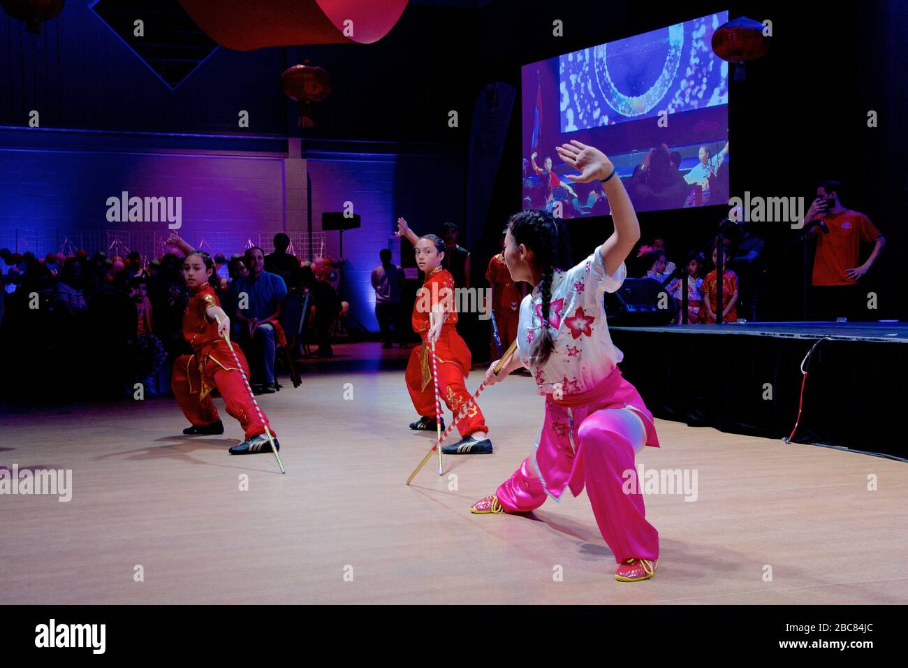 Spectacle d'art martial chinois au festival de la Lune de mi-automne au Centre communautaire chinois de Toronto Banque D'Images