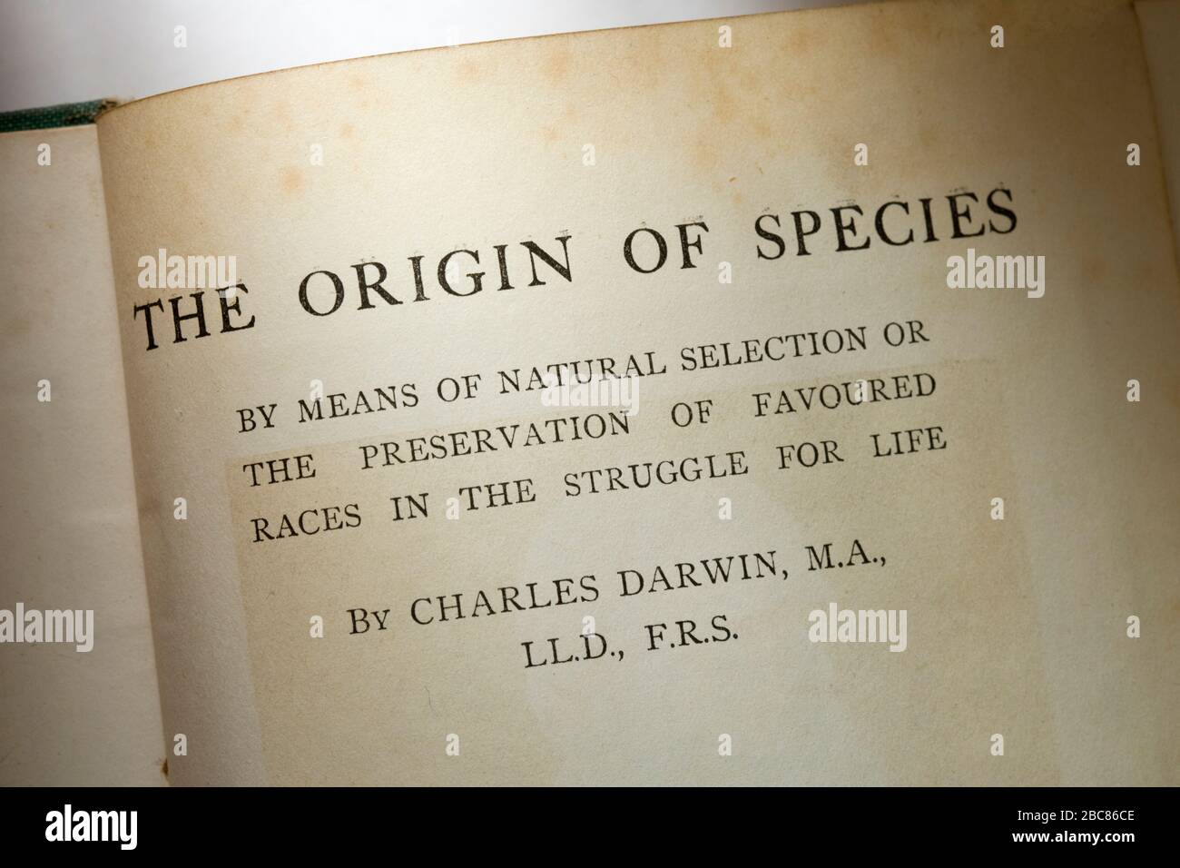 Origine des espèces par Charles Darwin. Page de titre Banque D'Images
