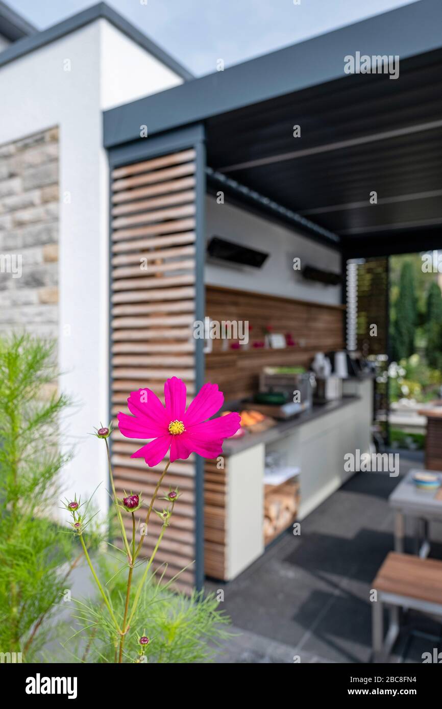 Une plante de beauté rose en fleurs à l'extérieur d'une maison avec une cuisine extérieure Banque D'Images