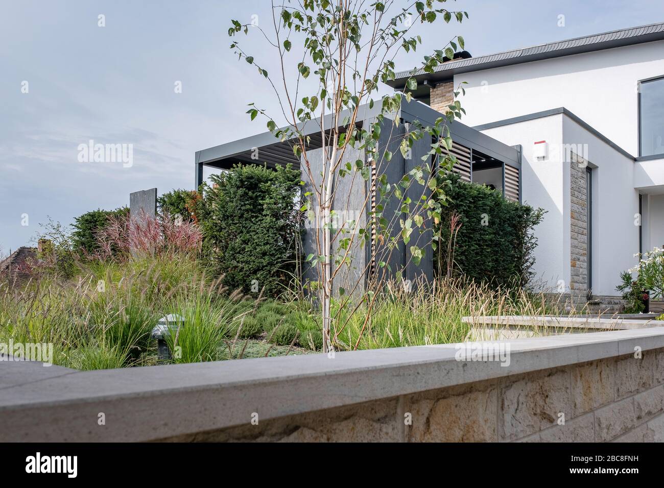 Lit de plantes devant une maison moderne et exclusive avec des herbes, des fougères et de jeunes arbres Banque D'Images