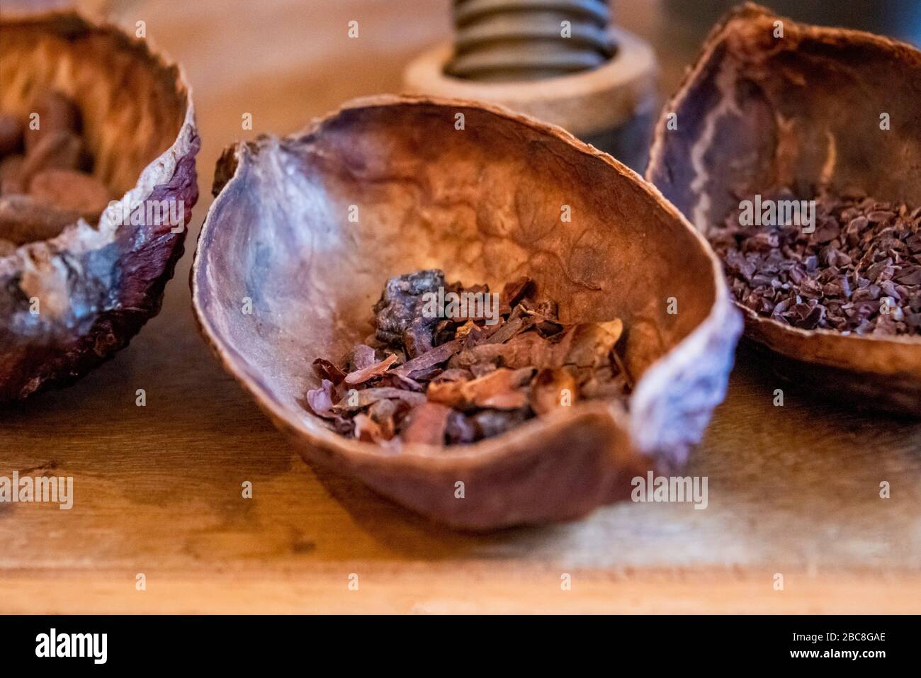 Gros plan horizontal de pointes prêtes pour la production de chocolat à Bali, Indonésie. Banque D'Images