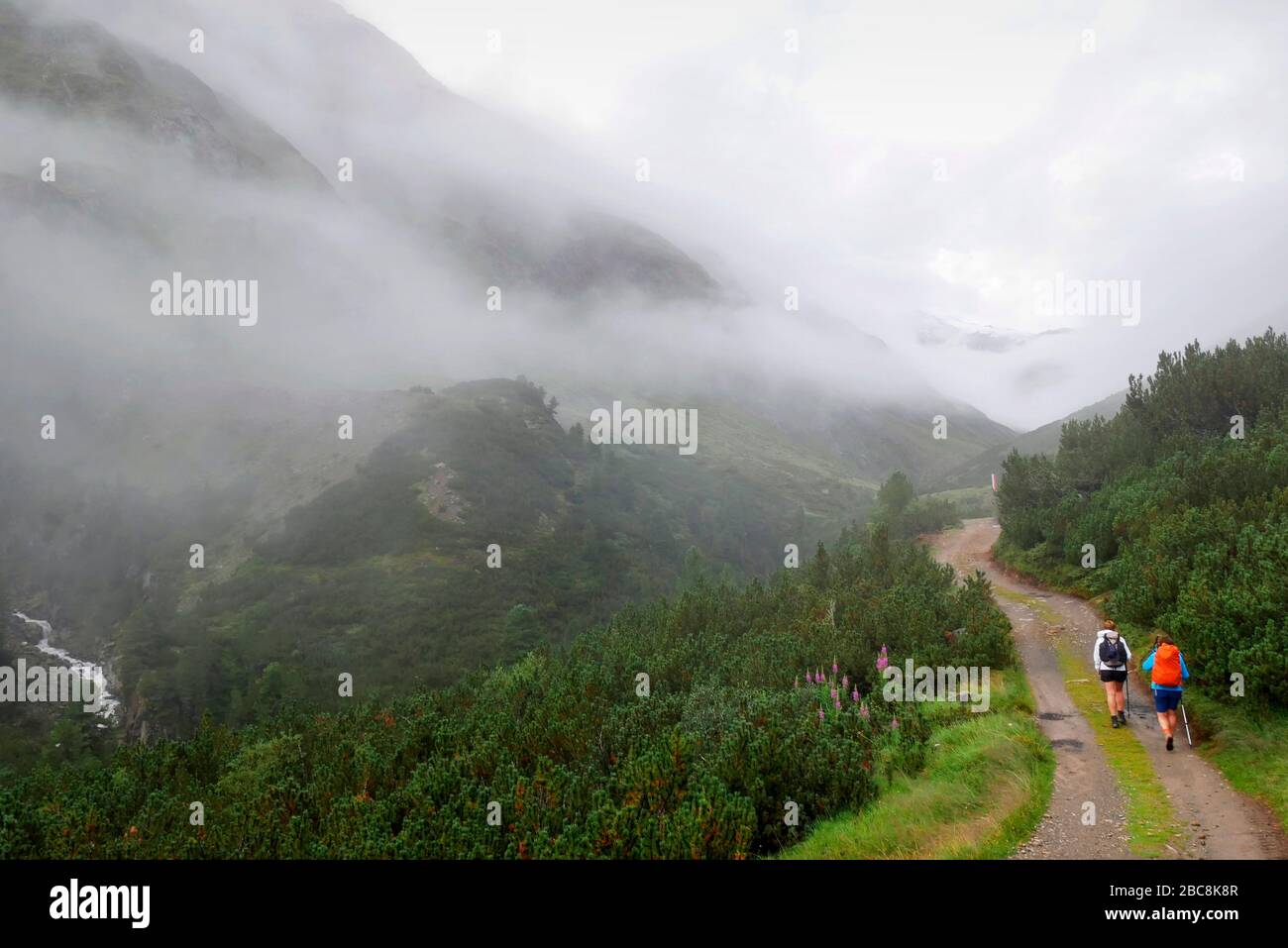 Sentier de randonnée longue distance E5 d'Oberstdorf à Meran: Chemin de vent à Martin-Busch-Hütte, Ötztal, Tyrol, Autriche Banque D'Images