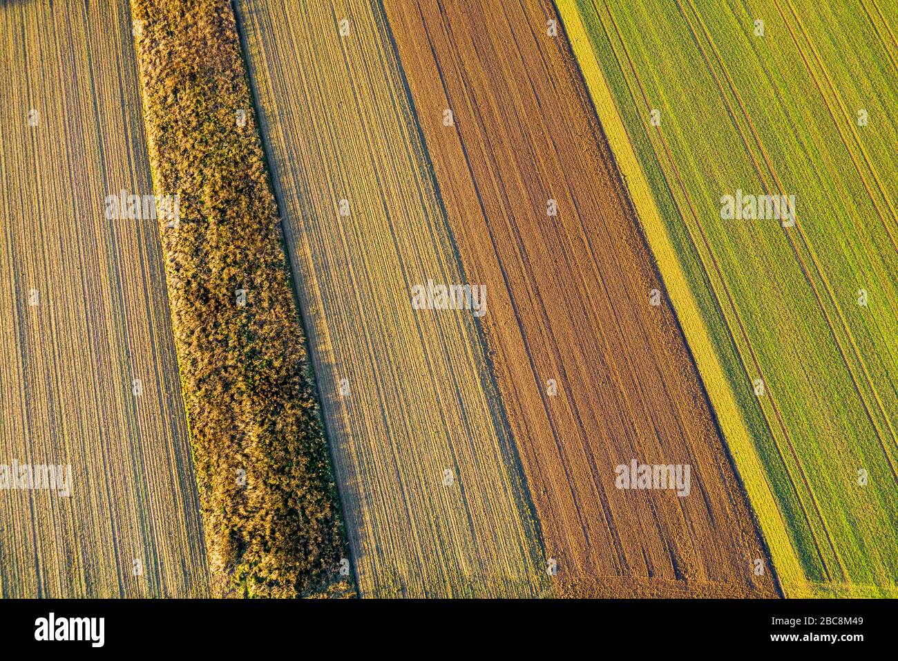 Vue aérienne des terres arables, Forêt swabienne en automne, Rems-Murr-Kreis, Bade-Wurtemberg, Allemagne Banque D'Images