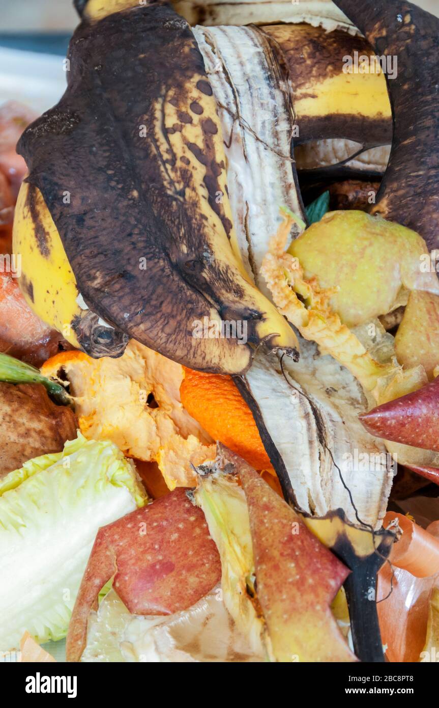 Vieilles peaux de fruits et peelings économisés pour le recyclage biologique. Banque D'Images