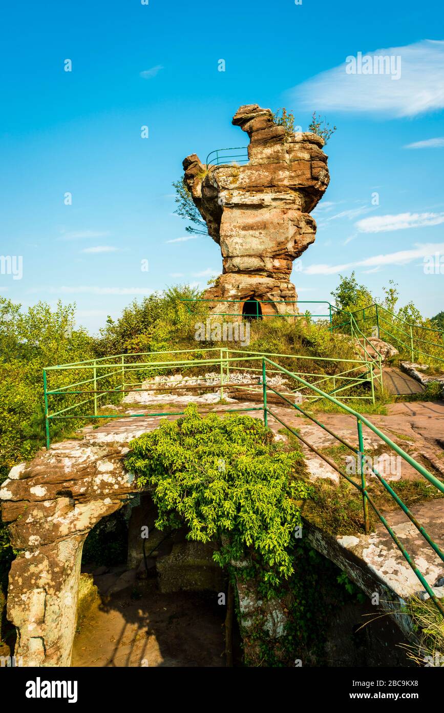 Les ruines du château de Drachenfels, un château de roche sculpté dans la pierre, avec une dent molaire, une tour semblable à la tête d'un dragon, comme plate-forme d'observation, colorée Banque D'Images