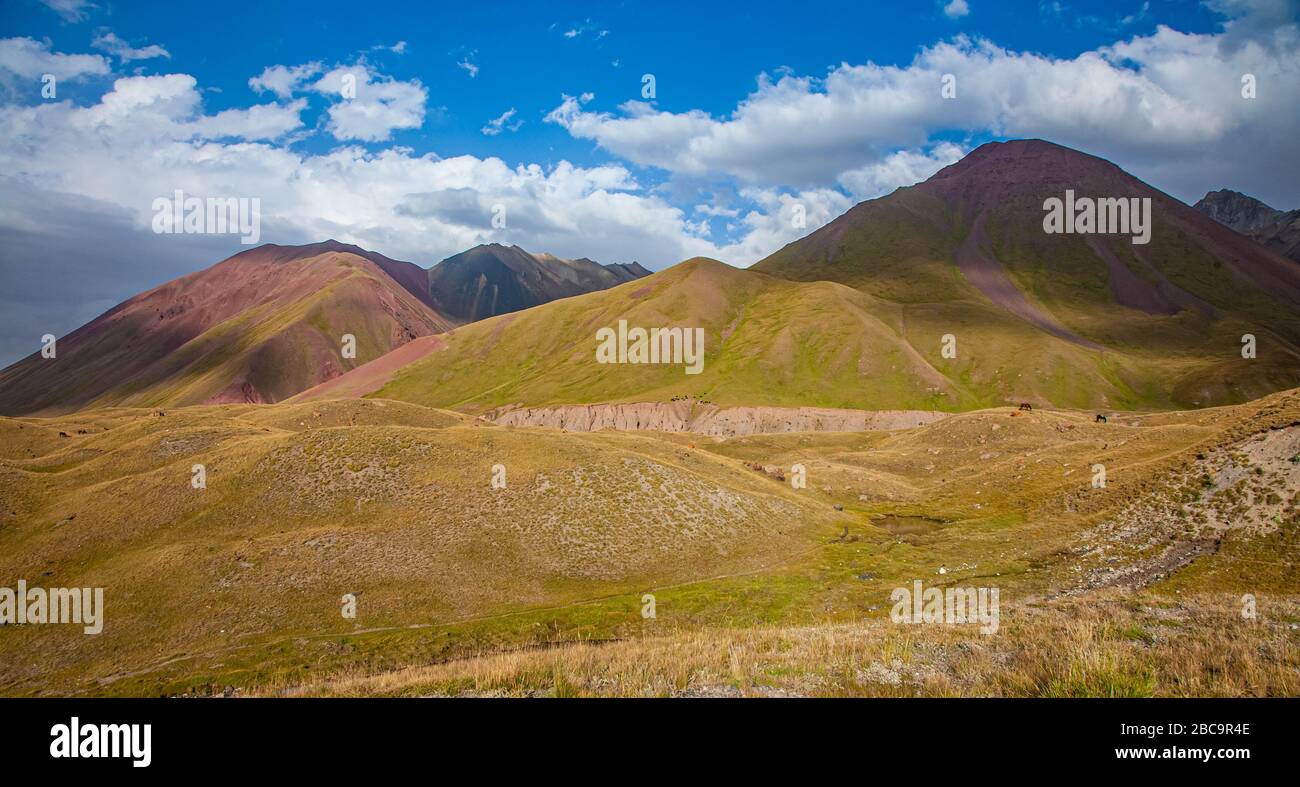 La nature kirghize. La gamme Trans-Alay. Système de montagne Pamir. Jour nuageux. Banque D'Images La nature kirghize. La gamme Trans-Alay. Système de montagne Pamir. Jour nuageux. Banque D'Images