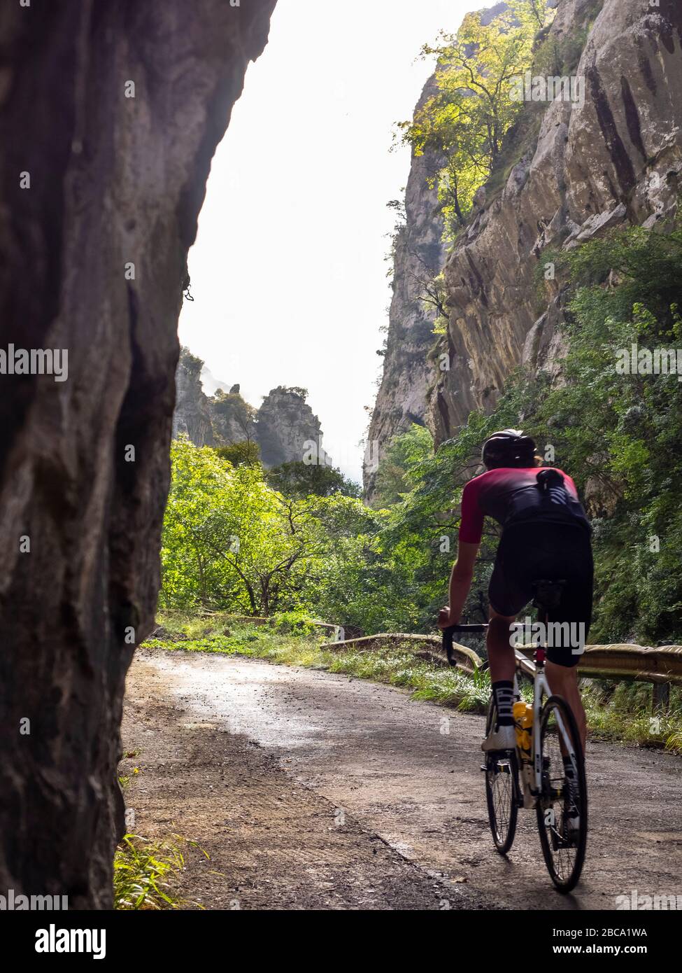 Cyclisme sur route dans les Asturies, dans le nord de l'Espagne. Gorge de montagne près de Proaza Principado de Asturies, Espagne Banque D'Images