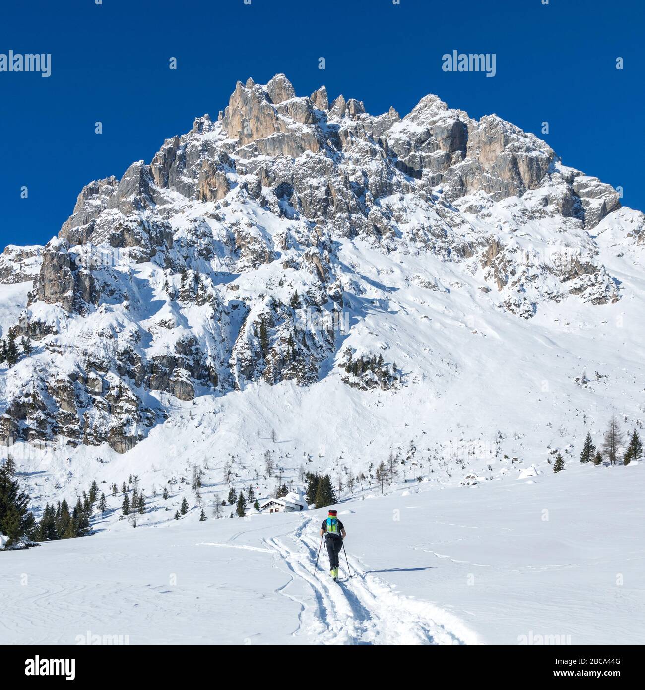 ski alpinisme vers le menegazzi bivouac, région de croda granda, pâle di san martino, agordino, belluno, vénétie, italie Banque D'Images