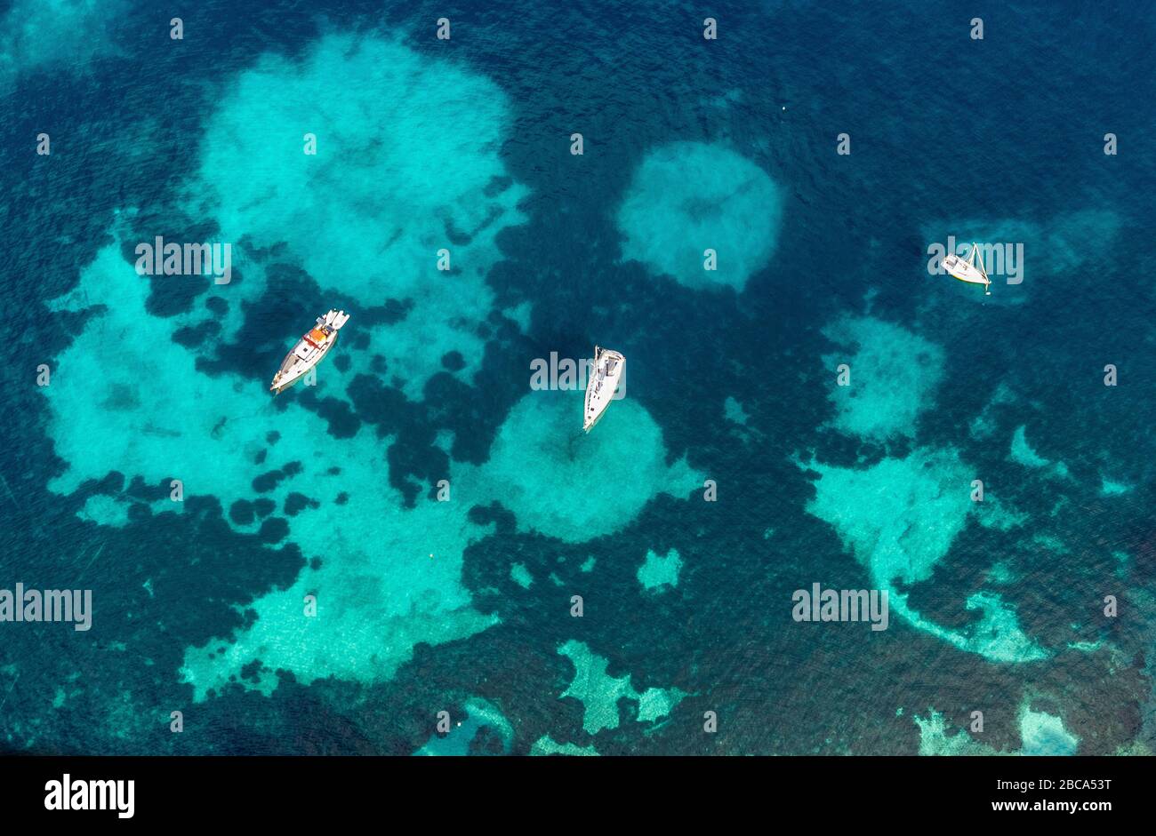 Vue aérienne, bateaux à voile dans la baie de Santa Ponça, Paguera, Majorque, Europe, Iles Baléares, Espagne Banque D'Images